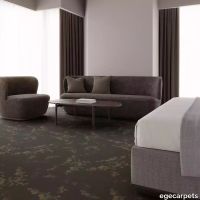 12-RF5595641.webp thumb image