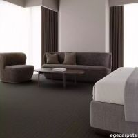 12-RF5595207.webp thumb image