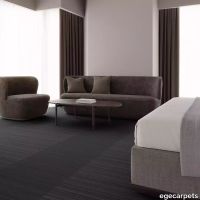 12-RF5595245.webp thumb image