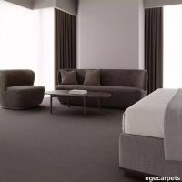 12-RFM52952501.webp thumb image
