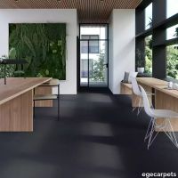 17-7135060.webp thumb image