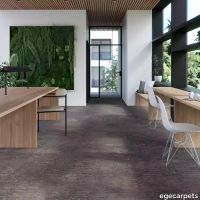17-713004148.webp thumb image