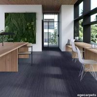 17-713204148.webp thumb image