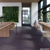 17-713313048.webp thumb image