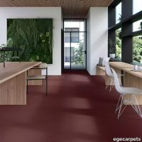 17-069245048.webp thumb image