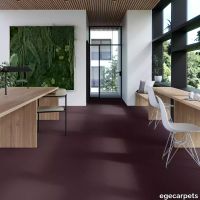 17-0780450.webp thumb image