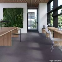 17-079701248.webp thumb image