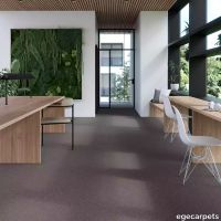 17-083726548.webp thumb image