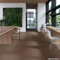 17-083763048.webp thumb image