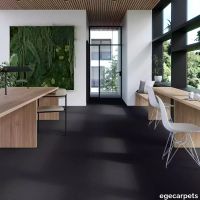 17-083778548.webp thumb image