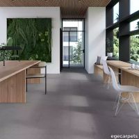 17-086403048.webp thumb image