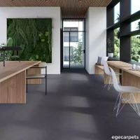 17-0909730.webp thumb image