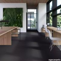 17-0903195.webp thumb image