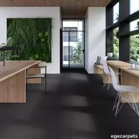 17-0903375.webp thumb image
