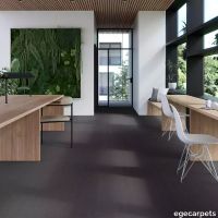17-0913120.webp thumb image