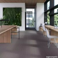 17-0913200.webp thumb image