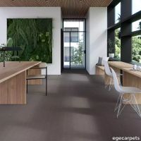 17-0913210.webp thumb image