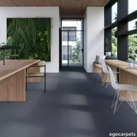 17-0913350.webp thumb image