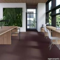17-0913440.webp thumb image