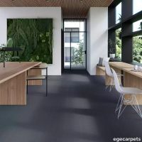 17-0913550.webp thumb image