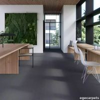 17-0913715.webp thumb image