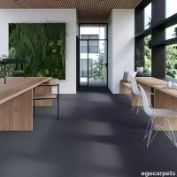 17-0913720.webp thumb image