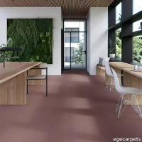 17-0913920.webp thumb image