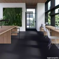 17-2153780.webp thumb image