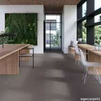 17-2358260.webp thumb image