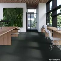 17-2471390.webp thumb image