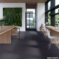 17-2471786.webp thumb image