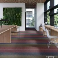 17-RF5500516.webp thumb image