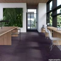 17-RF5500558.webp thumb image
