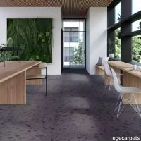 17-RF5500589.webp thumb image