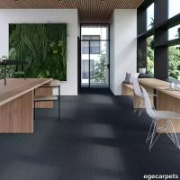 17-RF55001353.webp thumb image