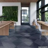 17-RF55001394.webp thumb image