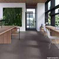 17-RF55001914.webp thumb image