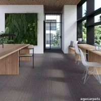 17-RF5575505.webp thumb image