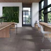 17-RF5575507.webp thumb image