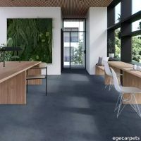17-RF5575516.webp thumb image