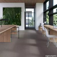 17-RF5575537.webp thumb image