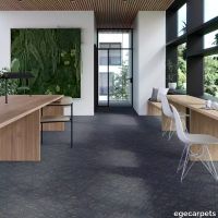 17-RF5595501.webp thumb image