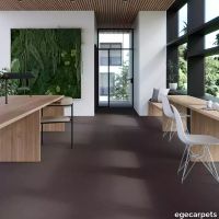 17-RF5595503.webp thumb image