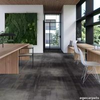 17-RFM55952046.webp thumb image