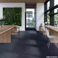 17-RFM55952070.webp thumb image