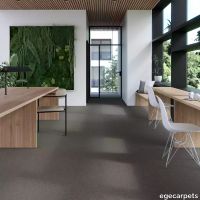 17-RFM55952079.webp thumb image
