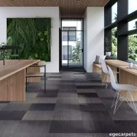 17-RFM55952007.webp thumb image