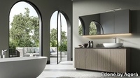 Edone-by-Agora_MIRROR-WITH-HINGED-DOOR-CONTAINER_MwdVxs4zmC.jpeg thumb image