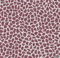 87364_990707.webp thumb image