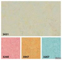 195662_3431.webp thumb image